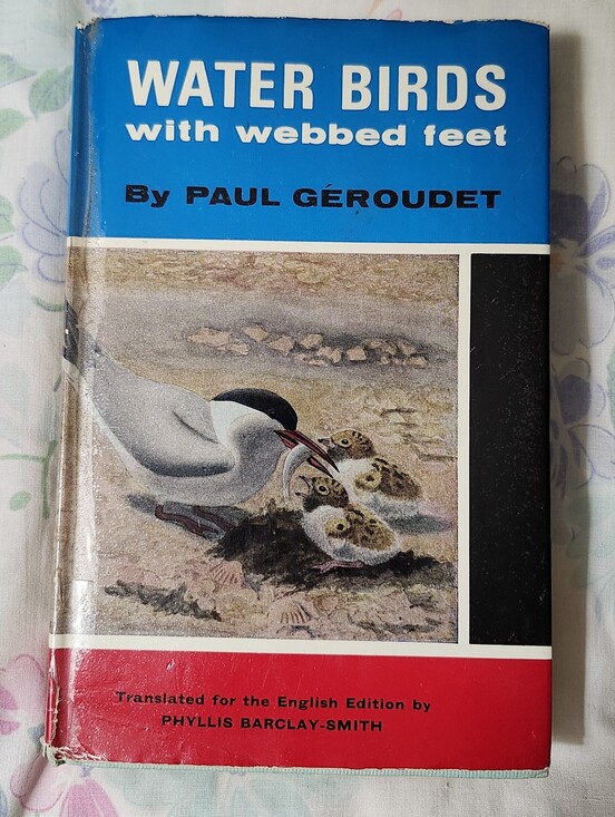 blandford press Other - Vintage 1965 First English Edition of Water-birds with Webbed Feet" Book